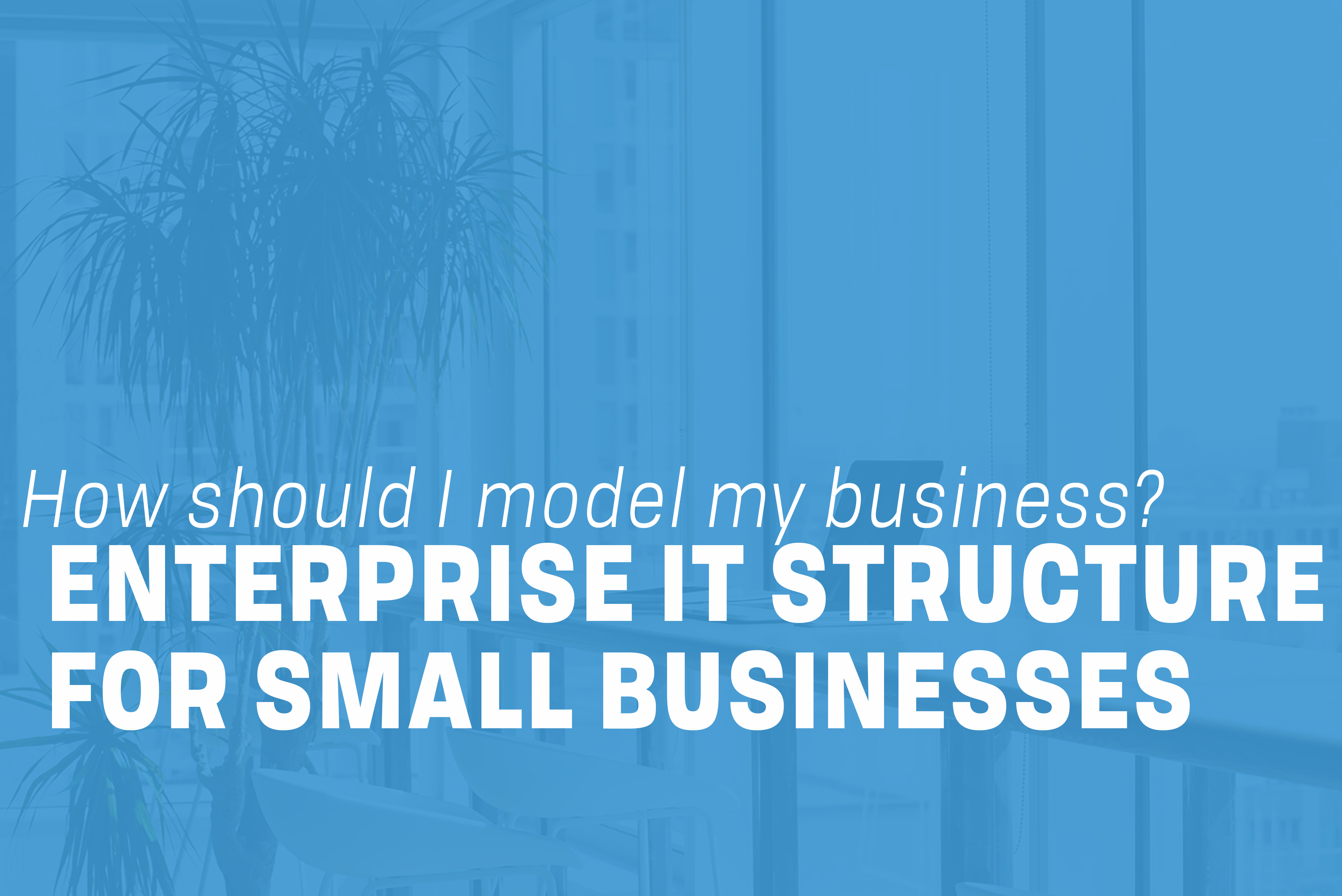 You are currently viewing Developing an Enterprise IT Structure for Small Businesses
