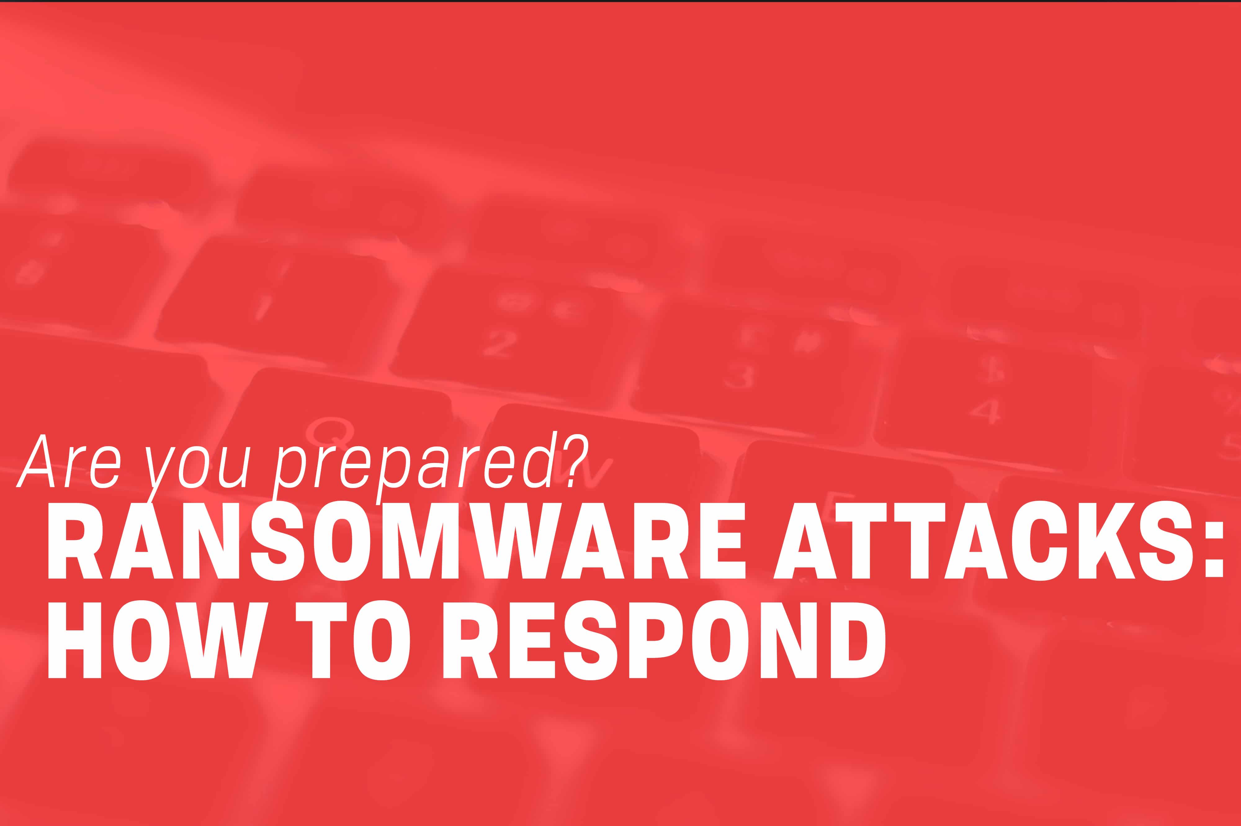Read more about the article Ransomware Attacks: How Should You Respond?