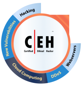 Certified Ethical Hacker Logo