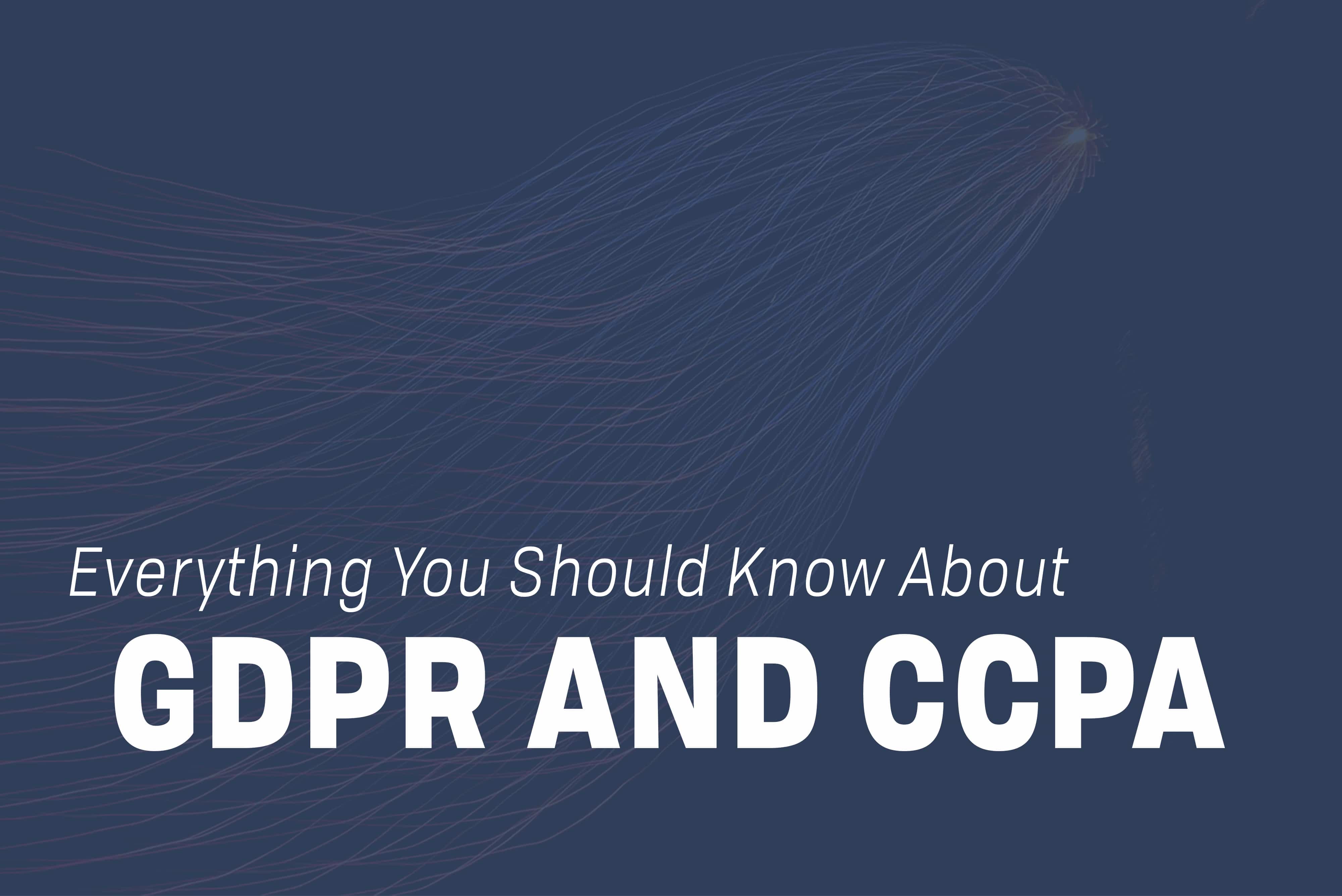 You are currently viewing GDPR and CCPA: Everything You Should Know