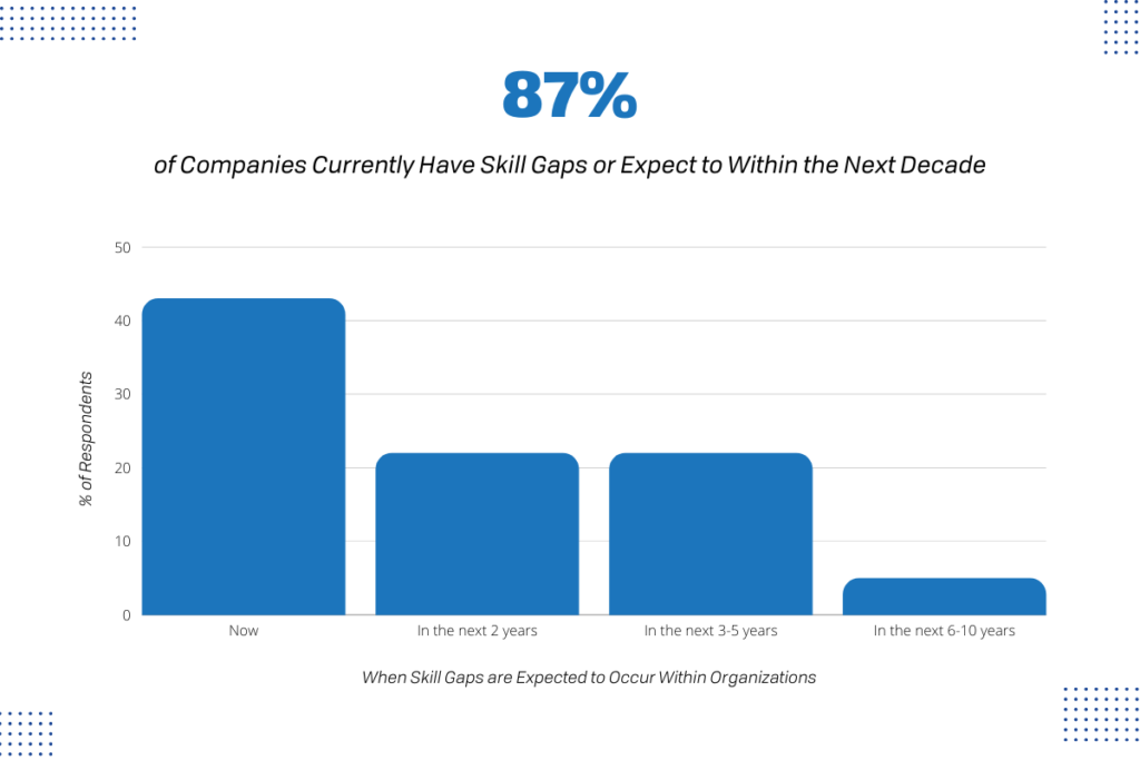 IT Skill Gaps Statistic